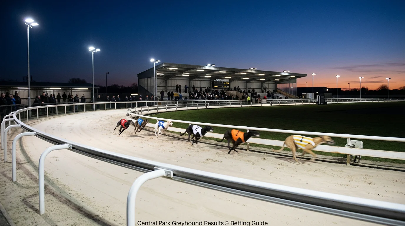 Greyhound dogs racing around the sand track at Central Park Stadium in Sittingbourne during an evening meeting under floodlights